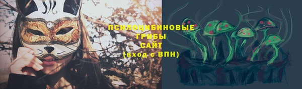марки lsd Дмитриев
