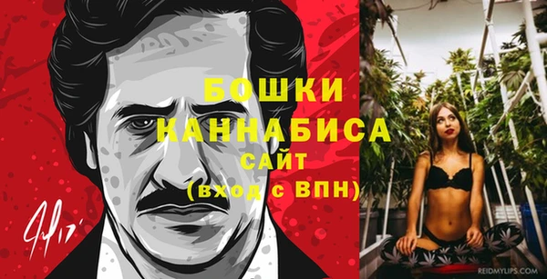 стаф Елабуга
