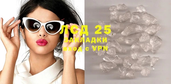 ГАЛЛЮЦИНОГЕННЫЕ ГРИБЫ Ельня