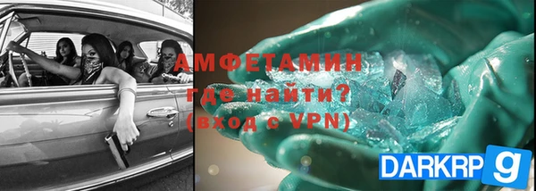 ГАЛЛЮЦИНОГЕННЫЕ ГРИБЫ Ельня