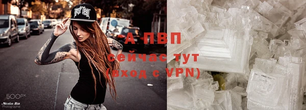 ГАЛЛЮЦИНОГЕННЫЕ ГРИБЫ Ельня